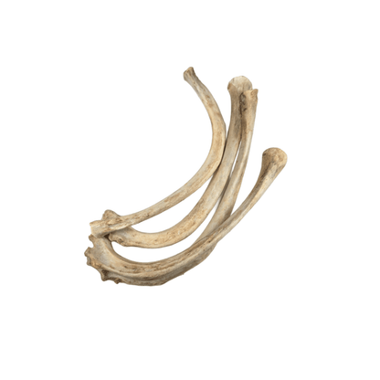 豚アバラ　中身